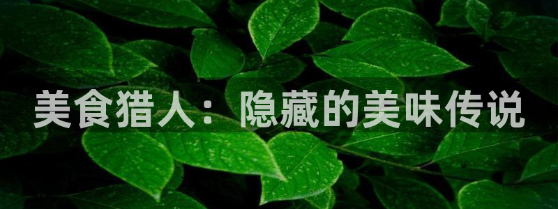 韩漫bl网站无删减漫画：美食猎人：隐藏的美味传说